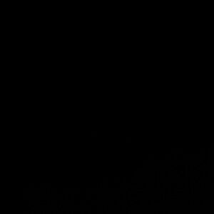 Meet your Posher, Missy